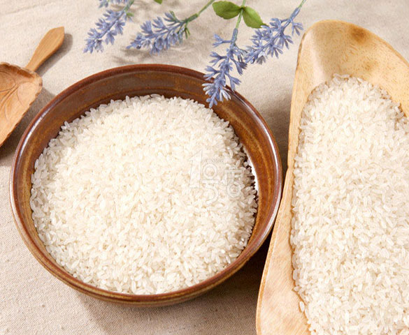 硅藻土——儲糧害蟲的天然殺手